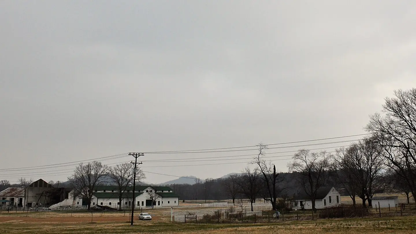 Open green fields and farm buildings at Harlinsdale Farm in Franklin, Tennessee